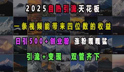 2025自热引流天花板，一条视频能带来四位数的收益，引流+变现双管齐下，日引500+创业粉，涨粉嘎嘎猛网创项目-知识付费-在线课程-自媒体创业-网络副业-优利资源优利资源网