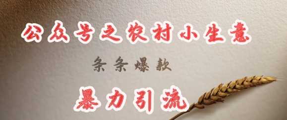 deepseek写农村小项目，条条爆款，暴力引流网创项目-知识付费-在线课程-自媒体创业-网络副业-优利资源优利资源网