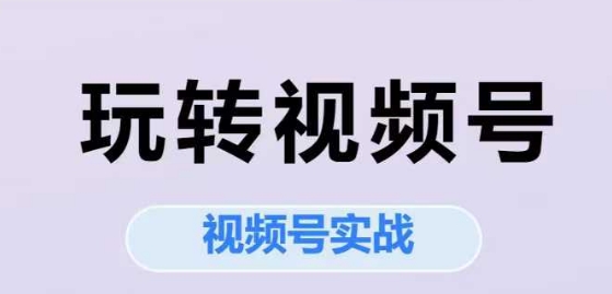 玩转视频号，视频号实战系列课网创项目-知识付费-在线课程-自媒体创业-网络副业-优利资源优利资源网