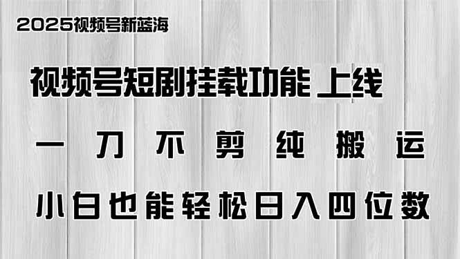 （14310期）视频号短剧挂载功能上线，一刀不剪纯搬运，小白也能轻松日入四位数网创项目-知识付费-在线课程-自媒体创业-网络副业-优利资源优利资源网