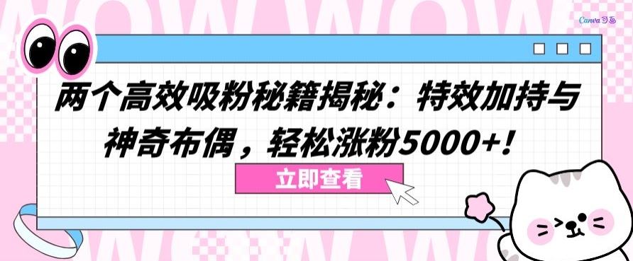 两个高效吸粉秘籍揭秘：特效加持与神奇布偶，轻松涨粉5000+【揭秘】网创项目-知识付费-在线课程-自媒体创业-网络副业-优利资源优利资源网