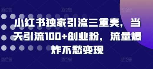小红书独家引流三重奏，当天引流100+创业粉，流量爆炸不愁变现【揭秘】网创项目-知识付费-在线课程-自媒体创业-网络副业-优利资源优利资源网