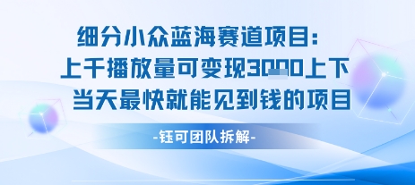 小众蓝海赛道项目：当天变现1k+适合新手操作 +适合长期玩网创项目-知识付费-在线课程-自媒体创业-网络副业-优利资源优利资源网