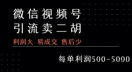 视频号卖二胡教程，利润大 易成交 售后少，一单利润5张+网创项目-知识付费-在线课程-自媒体创业-网络副业-优利资源优利资源网