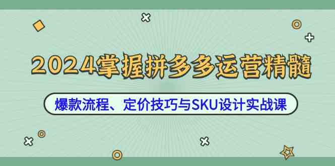 2024掌握拼多多运营精髓：爆款流程、定价技巧与SKU设计实战课网创项目-知识付费-在线课程-自媒体创业-网络副业-优利资源优利资源网