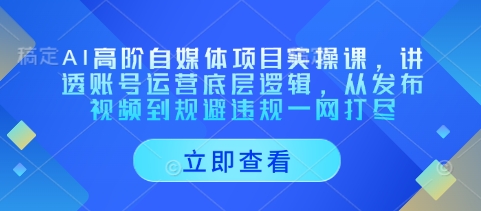 AI高阶自媒体项目实操课，讲透账号运营底层逻辑，从发布视频到规避违规一网打尽网创项目-知识付费-在线课程-自媒体创业-网络副业-优利资源优利资源网