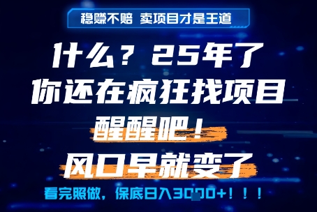 什么？25年你还在疯狂找项目做，醒醒吧，看完这些你全都懂了！【揭秘】网创项目-知识付费-在线课程-自媒体创业-网络副业-优利资源优利资源网