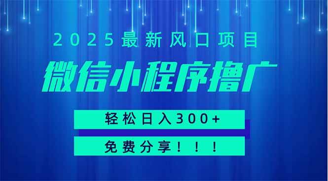 （14375期）微信小程序撸广，最新风口项目，日入300+ 免费分享 可批量操作 小白可…网创项目-知识付费-在线课程-自媒体创业-网络副业-优利资源优利资源网