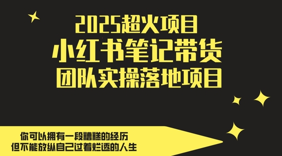 2025超火项目，副业最佳选择，小红书笔记带货团队实操落地项目，，轻松日入5张网创项目-知识付费-在线课程-自媒体创业-网络副业-优利资源优利资源网
