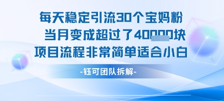 每天稳定引流30个人 当月变成超过了4个W项目流程非常简单适合小白网创项目-知识付费-在线课程-自媒体创业-网络副业-优利资源优利资源网