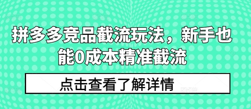 拼多多竞品截流玩法，新手也能0成本精准截流网创项目-知识付费-在线课程-自媒体创业-网络副业-优利资源优利资源网