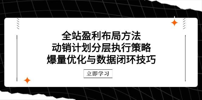 （14698期）全站盈利布局方法：动销计划分层执行策略，爆量优化与数据闭环技巧网创项目-知识付费-在线课程-自媒体创业-网络副业-优利资源优利资源网