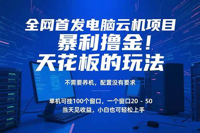 （15323期）电脑云机项目 暴力撸金玩法，不需要养机 配置没有要求 单机100个窗口一…网创项目-知识付费-在线课程-自媒体创业-网络副业-优利资源优利资源网