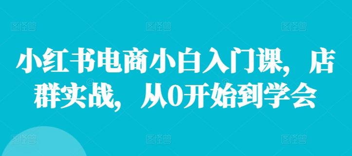 小红书电商小白入门课，店群实战，从0开始到学会网创项目-知识付费-在线课程-自媒体创业-网络副业-优利资源优利资源网