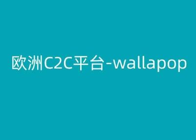 欧洲C2C平台-wallapop-kim跨境电商教程网创项目-知识付费-在线课程-自媒体创业-网络副业-优利资源优利资源网
