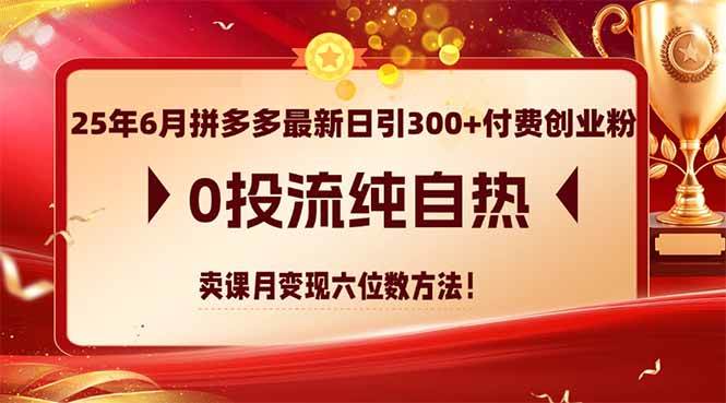 （14989期）25年6月拼多多最新日引300+付费创业粉，0投流纯自热 卖课月变现六位数方法网创项目-知识付费-在线课程-自媒体创业-网络副业-优利资源优利资源网