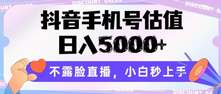 抖音手机号估值，日入5000+，不露脸直播，小白秒上手【揭秘】网创项目-知识付费-在线课程-自媒体创业-网络副业-优利资源优利资源网