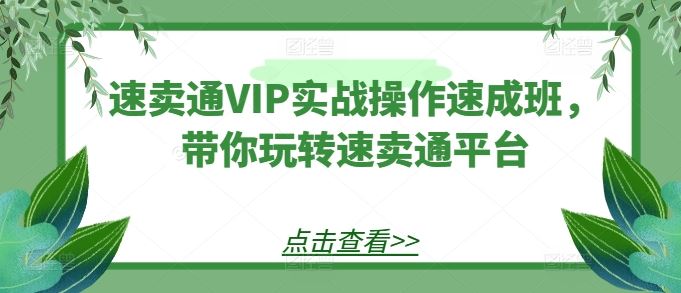 速卖通VIP实战操作速成班，带你玩转速卖通平台网创项目-知识付费-在线课程-自媒体创业-网络副业-优利资源优利资源网
