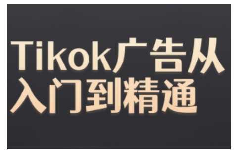 Tiktok Ads实操教程，Tiktok广告从入门到精通网创项目-知识付费-在线课程-自媒体创业-网络副业-优利资源优利资源网