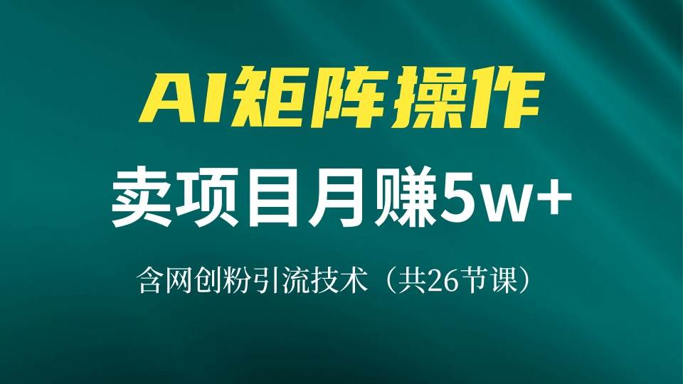（13335期）网创IP打造课，借助AI卖项目月赚5万+，含引流技术（共26节课）网创项目-知识付费-在线课程-自媒体创业-网络副业-优利资源优利资源网