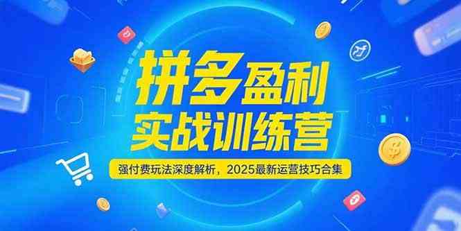 拼多多盈利实战训练营，强付费玩法深度解析，2025最新运营技巧合集网创项目-知识付费-在线课程-自媒体创业-网络副业-优利资源优利资源网