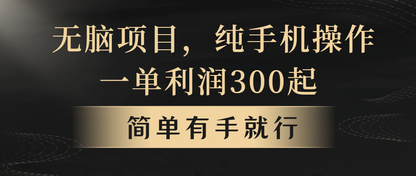 （10699期）无脑项目，一单几百块，轻松月入5w+，看完就能直接操作网创项目-知识付费-在线课程-自媒体创业-网络副业-优利资源优利资源网
