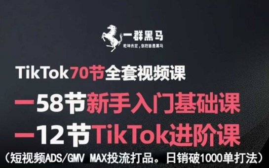 TikTok全套视频课，新手入门+进阶课，短视频ADS-GMV MAX投流打品，日销破1000单打法网创项目-知识付费-在线课程-自媒体创业-网络副业-优利资源优利资源网