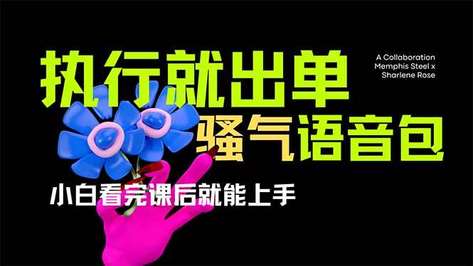 （14170期）爆火全网的开车导航骚气语音包,只要执行就出单，小白看完课程就能实操…网创项目-知识付费-在线课程-自媒体创业-网络副业-优利资源优利资源网