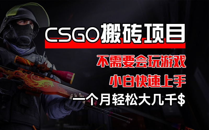 （12332期）CSGO 装备搬砖项目，操作简单，不需要会玩游戏，小白也能快速上手，一…网创项目-知识付费-在线课程-自媒体创业-网络副业-优利资源优利资源网