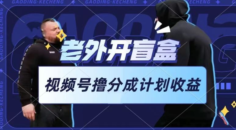 老外开盲盒视频，撸视频号分成计划收益，每天只需一小时，新手小白轻松上手【揭秘】网创项目-知识付费-在线课程-自媒体创业-网络副业-优利资源优利资源网