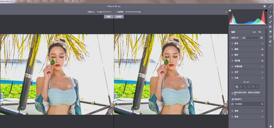 RAW处理Adobe Camera Raw v18.5.0中文版网创项目-知识付费-在线课程-自媒体创业-网络副业-优利资源优利资源网