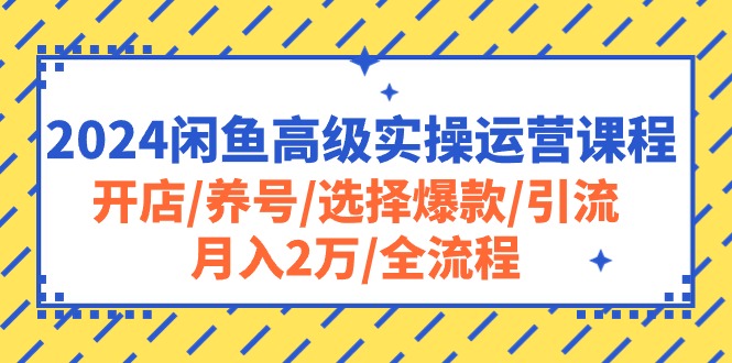 （10711期）2024闲鱼高级实操运营课程：开店/养号/选择爆款/引流/月入2万/全流程网创项目-知识付费-在线课程-自媒体创业-网络副业-优利资源优利资源网