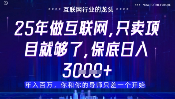 什么！25年你还在找项目做？风口早就变了，卖项目才是稳挣不赔【揭秘】网创项目-知识付费-在线课程-自媒体创业-网络副业-优利资源优利资源网