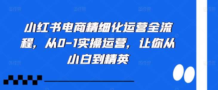 小红书电商精细化运营全流程，从0-1实操运营，让你从小白到精英网创项目-知识付费-在线课程-自媒体创业-网络副业-优利资源优利资源网