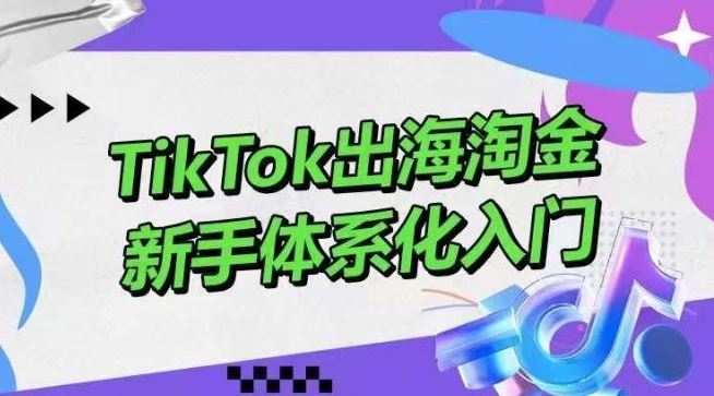 TikTok出海淘金，新手体系化入门，零基础快速入门，掌握短视频、直播带货等引流到变现的知识网创项目-知识付费-在线课程-自媒体创业-网络副业-优利资源优利资源网