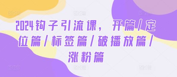 2024钩子引流课，开篇/定位篇/标签篇/破播放篇/涨粉篇网创项目-知识付费-在线课程-自媒体创业-网络副业-优利资源优利资源网
