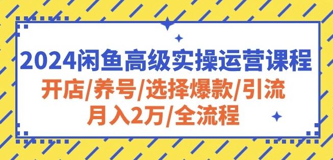 2024闲鱼高级实操运营课程：开店/养号/选择爆款/引流/月入2万/全流程网创项目-知识付费-在线课程-自媒体创业-网络副业-优利资源优利资源网