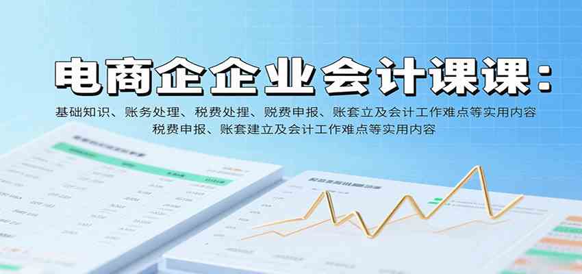 电商企业会计课：基础知识、账务处理、税费申报、账套建立及会计工作难点等实用内容网创项目-知识付费-在线课程-自媒体创业-网络副业-优利资源优利资源网