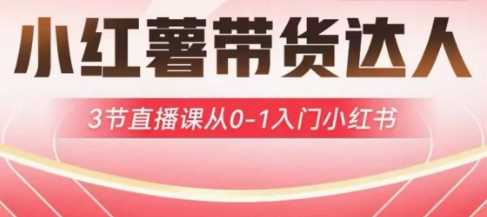 小红薯达人带货启航计划，3节直播课从0-1入门小红书网创项目-知识付费-在线课程-自媒体创业-网络副业-优利资源优利资源网