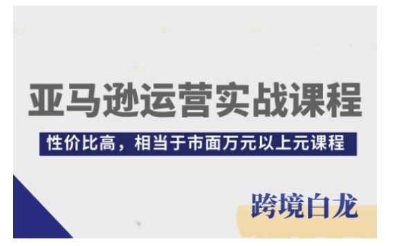 亚马逊运营实战课程，亚马逊从入门到精通，性价比高，相当于市面万元以上元课程网创项目-知识付费-在线课程-自媒体创业-网络副业-优利资源优利资源网