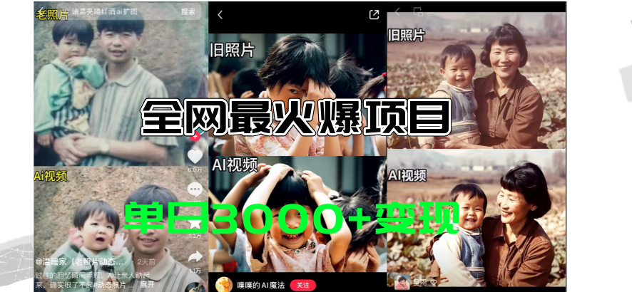 （11546期）全网爆火的AI让老照片动起来教程，蹭热点日赚3000+，内含免费工具一键…网创项目-知识付费-在线课程-自媒体创业-网络副业-优利资源优利资源网