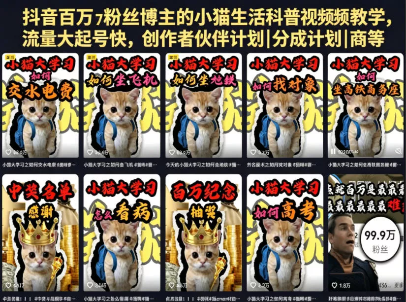 抖音百万粉丝博主的小猫生活科普视频教学，流量大起号快，创作者伙伴计划|分成计划|商单|收徒等网创项目-知识付费-在线课程-自媒体创业-网络副业-优利资源优利资源网