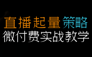 半野老师·直播带货起量与微付费必学课视频号网创项目-知识付费-在线课程-自媒体创业-网络副业-优利资源优利资源网