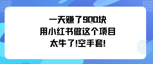 一天挣了9张用小红书做这个项目太牛了，空手套网创项目-知识付费-在线课程-自媒体创业-网络副业-优利资源优利资源网