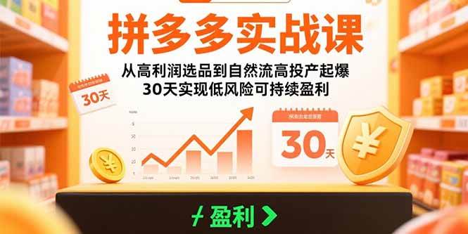 （15586期）拼多多实战课：从高利润选品到自然流高投产起爆 30天实现低风险可持续盈利网创项目-知识付费-在线课程-自媒体创业-网络副业-优利资源优利资源网