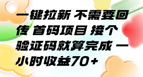 一键拉新 不需要回传 首码项目 接个验证码就算完成 一小时收益70+【揭秘】网创项目-知识付费-在线课程-自媒体创业-网络副业-优利资源优利资源网