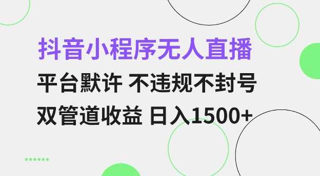 抖音小程序无人直播 平台默许 不违规不封号 双管道收益 日入多张 小白也能轻松操作【仅揭秘】网创项目-知识付费-在线课程-自媒体创业-网络副业-优利资源优利资源网