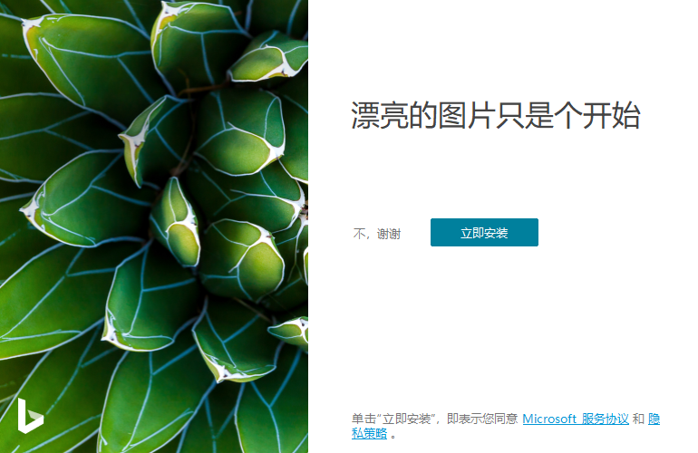Bing Wallpaper v2.0.1.4中文版网创项目-知识付费-在线课程-自媒体创业-网络副业-优利资源优利资源网