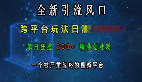 全新引流风口，跨平台玩法日入上k，单日狂揽200+精准创业粉，一个被严重忽略的视频平台网创项目-知识付费-在线课程-自媒体创业-网络副业-优利资源优利资源网