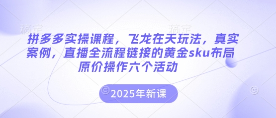 拼多多实操课程，飞龙在天玩法，真实案例，直播全流程链接的黄金sku布局原价操作六个活动网创项目-知识付费-在线课程-自媒体创业-网络副业-优利资源优利资源网